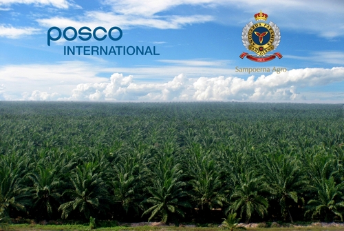 포스코인터내셔널이 인수한 인도네시아 삼푸르나 아그로 팜 농장 전경. [자료:포스코인터내셔널]
