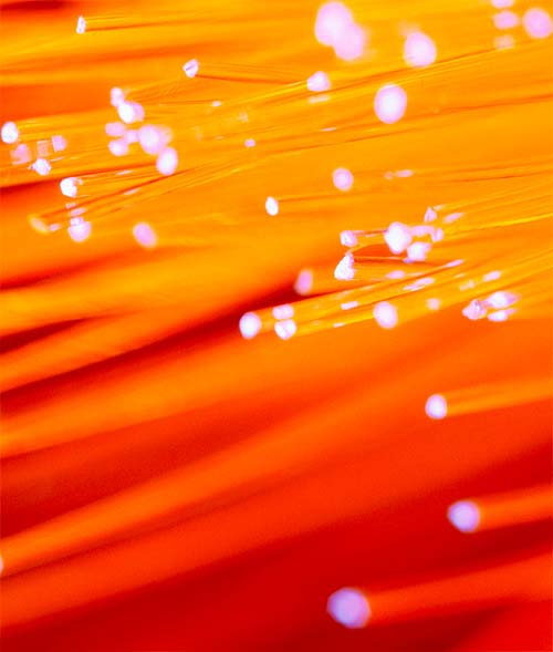 (사진=글로버파운드리)