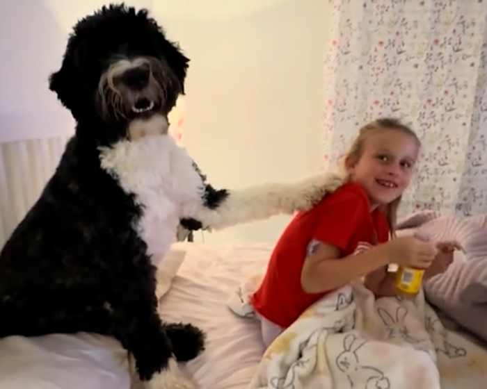  引用：TikTok@kennedyst1djourney