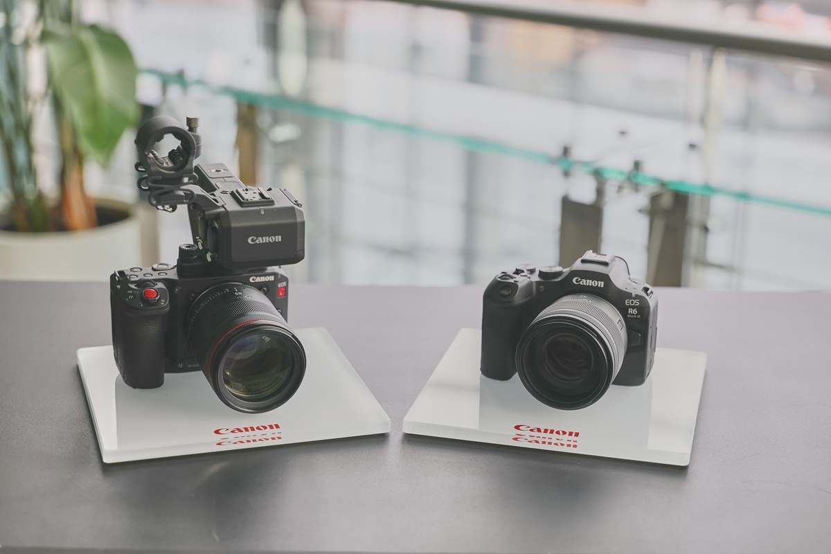 EOS C50과 EOS R6 Mark lll(왼쪽부터)