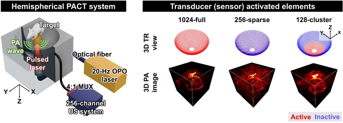 광음향 컴퓨터 단층촬영 (PACT) 시스템 개략도