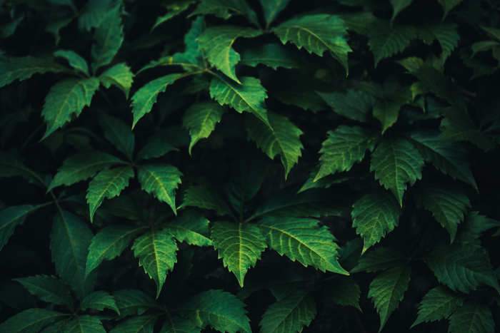 ⓒ게티이미지뱅크