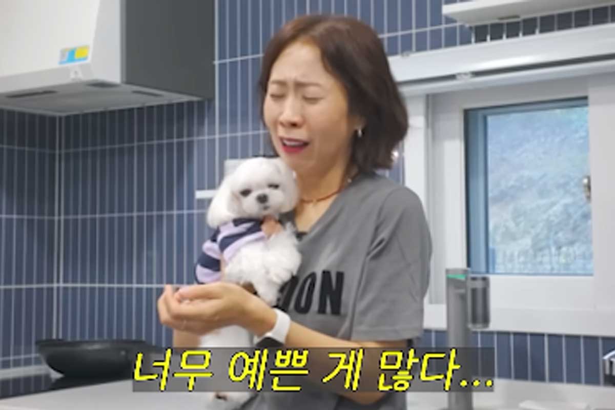 출처 : 유튜브 채널 '집나간 정선희'