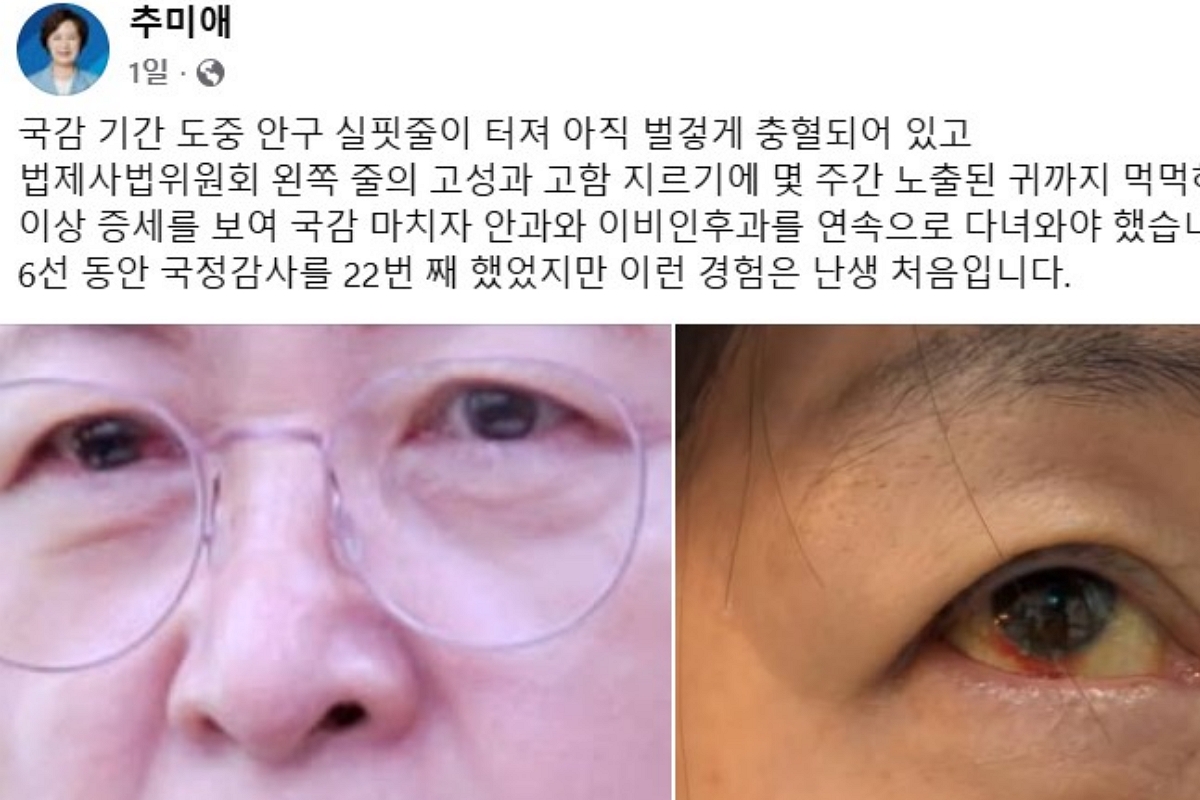 출처: 추미애 SNS