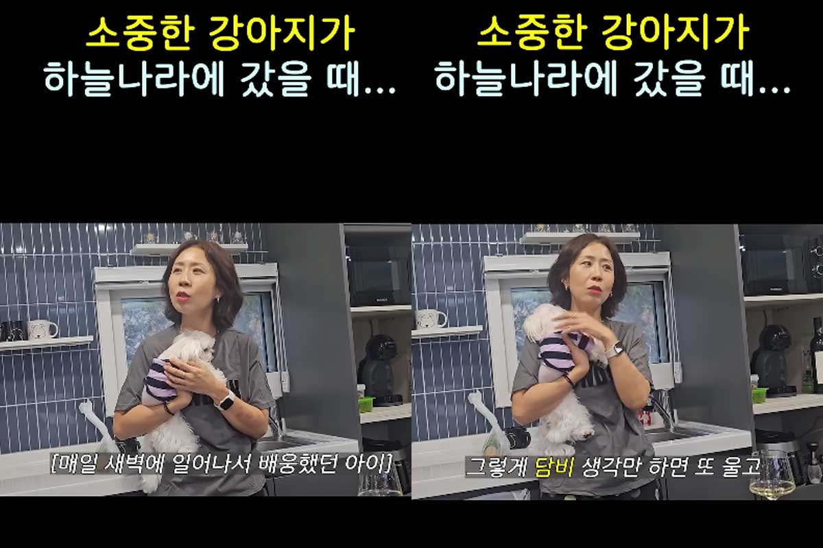 출처 : 유튜브 채널 '집나간 정선희'