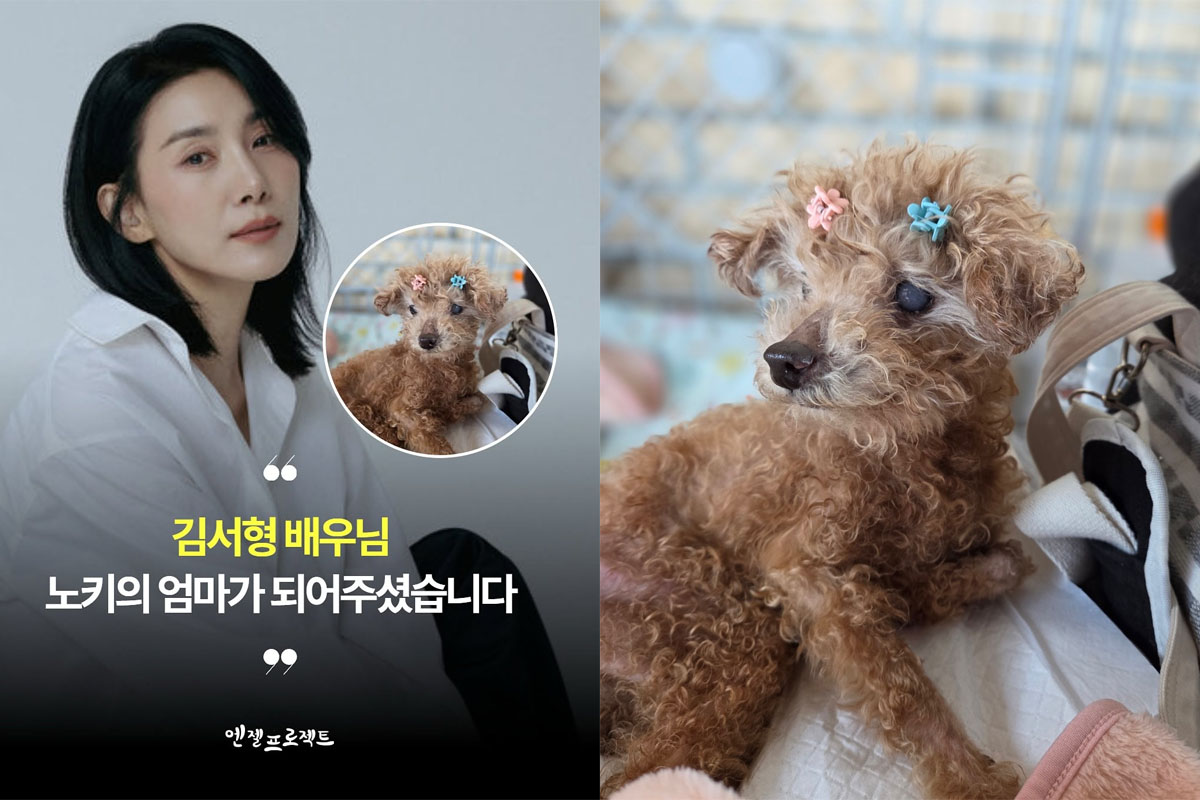 출처 : 엔젤프로젝트 공식 인스타그램