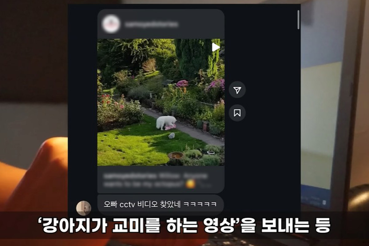 출처: 유튜브 ‘연예 뒤통령 이진호’