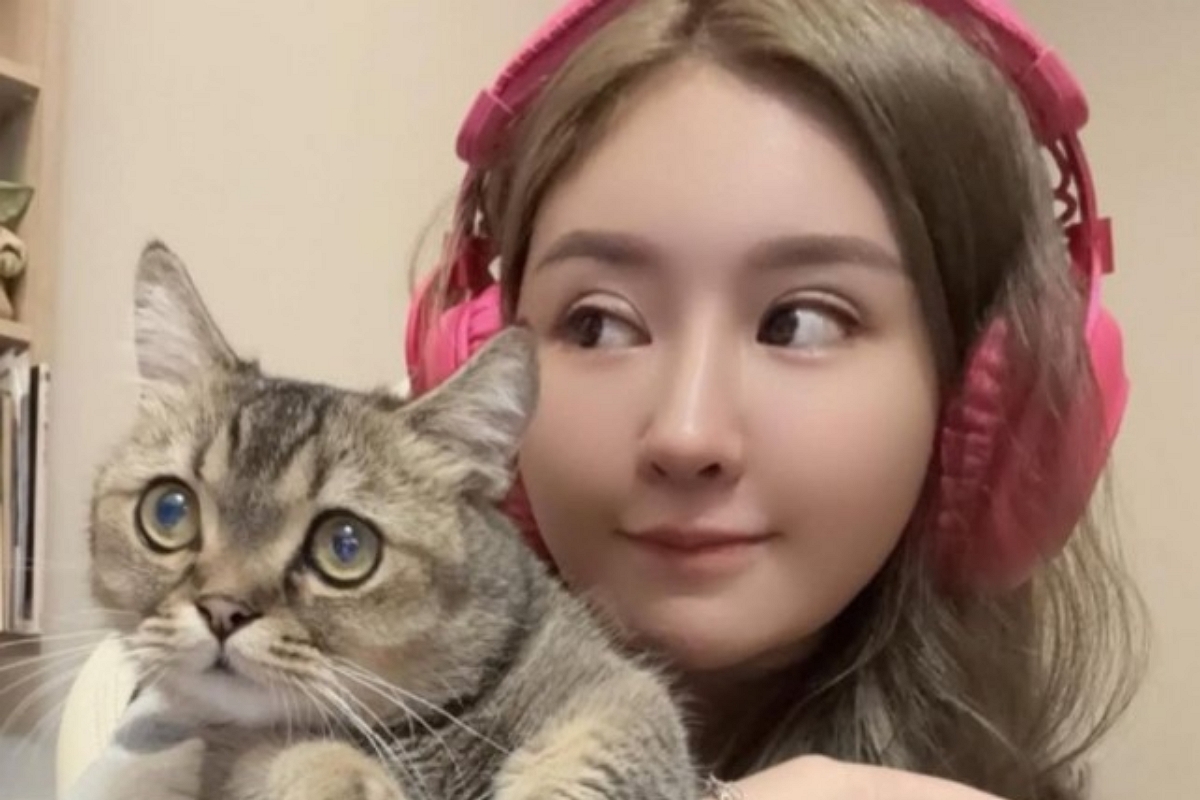출처: 아이리스 시에 SNS