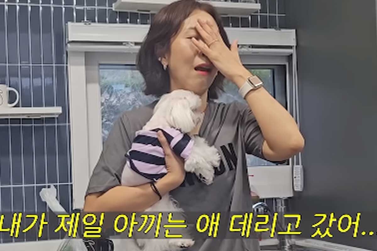 출처 : 유튜브 채널 '집나간 정선희'