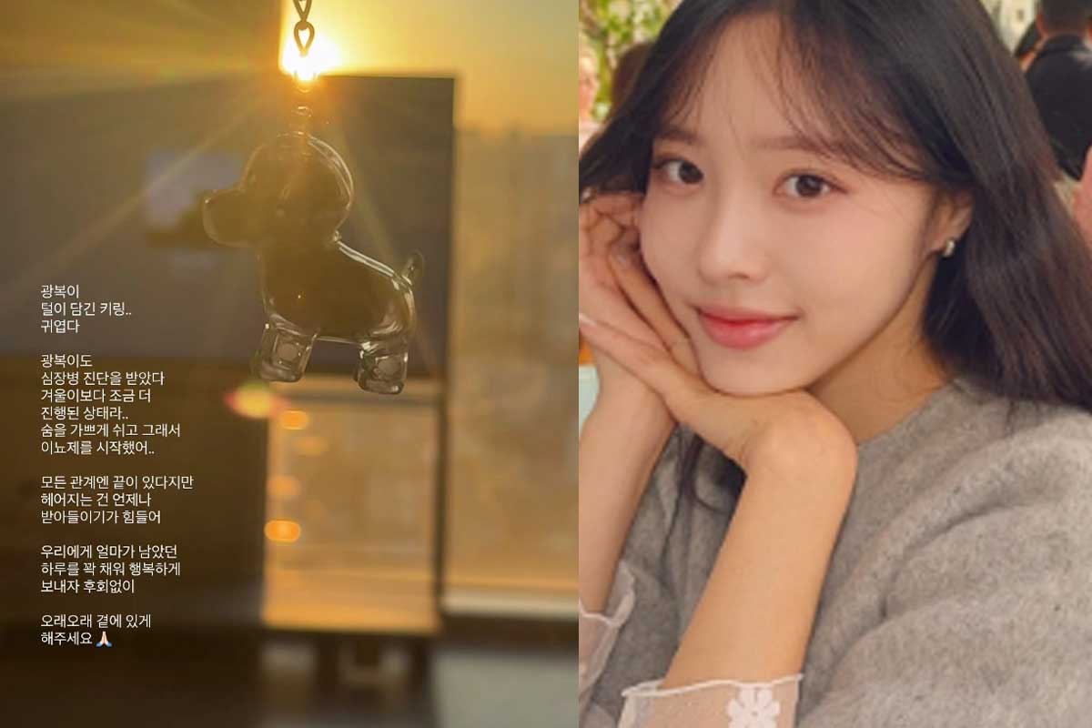 출처 : 이솔이 SNS
