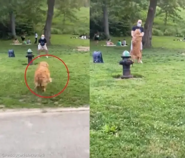 引用：Reddit/cackalackattack