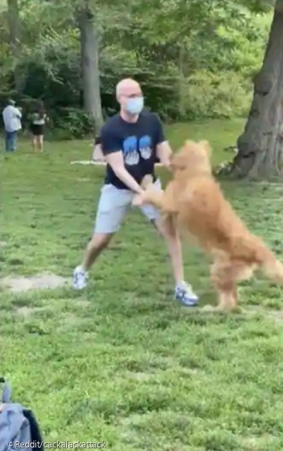 引用：Reddit/cackalackattack