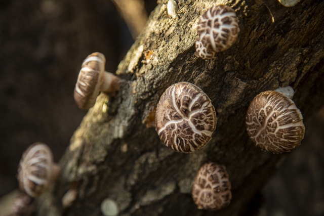 引用：ClipartKorea*この画像は記事の内容と一切関係ありません