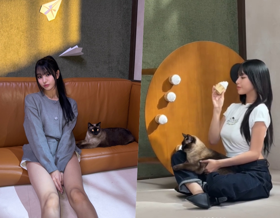  引用：ナッティのInstagramアカウント