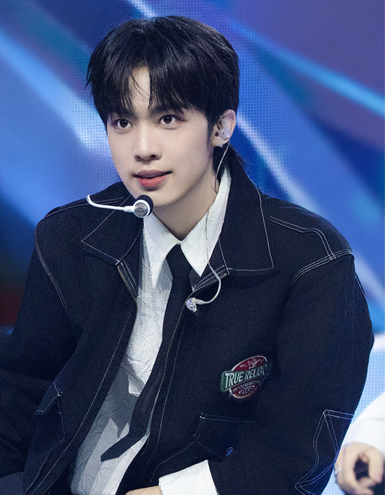  引用：ポケットドルスタジオ