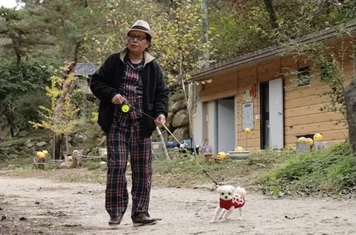 引用：TV朝鮮 『パーフェクトライフ』