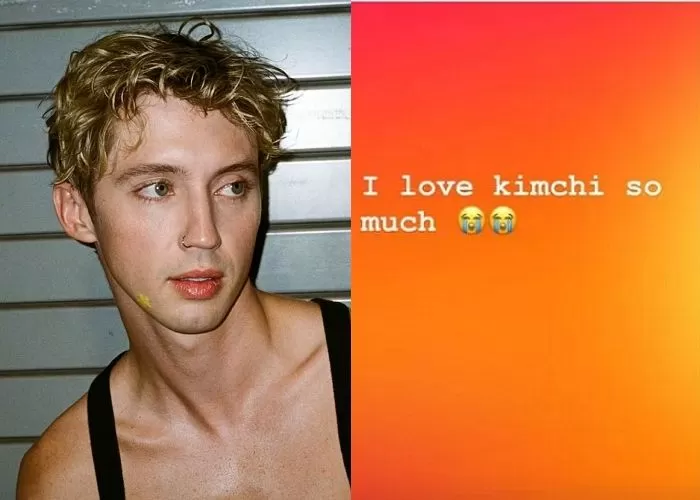  引用：Instagram@troyesivan