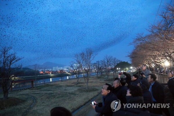 (사진출처: 연합뉴스)