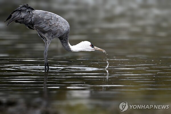 (사진출처: 연합뉴스)