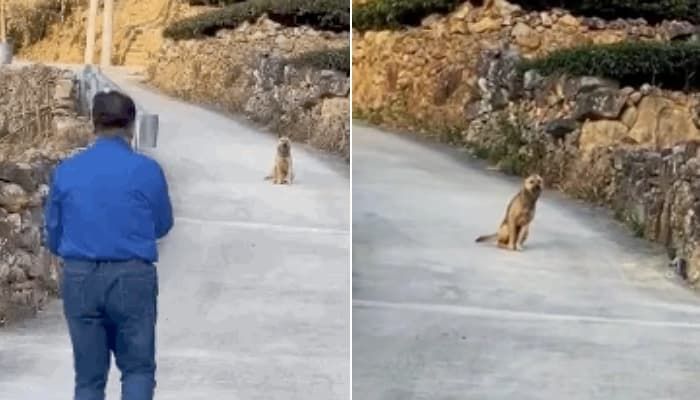 引用:アニマルプラネット