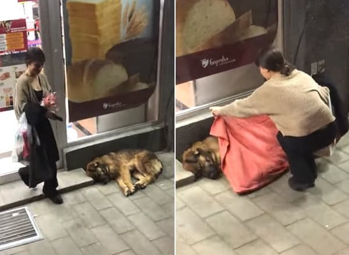 引用：George Papovi