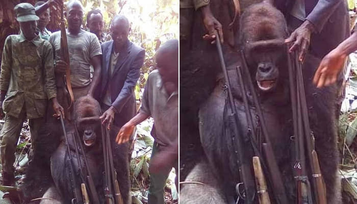 引用：デイリー・メール