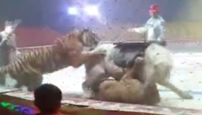 引用：YouTube@New York Post