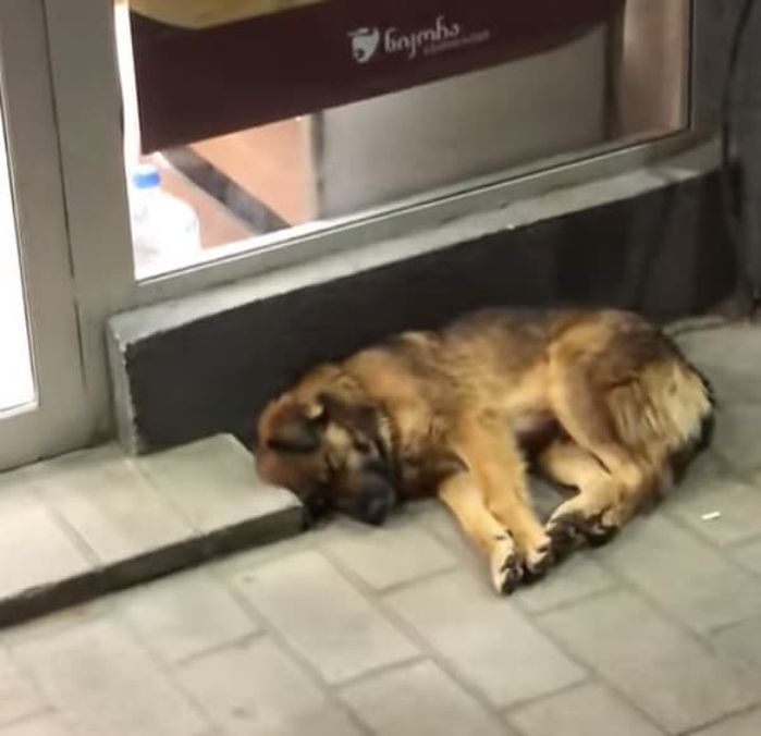 引用：George Papovi