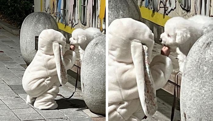 애니멀플래닛