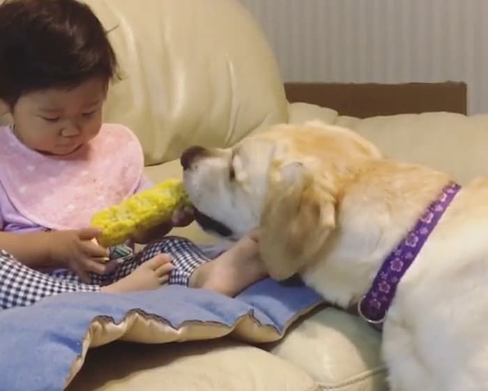 引用:instagram@kawaii_layla