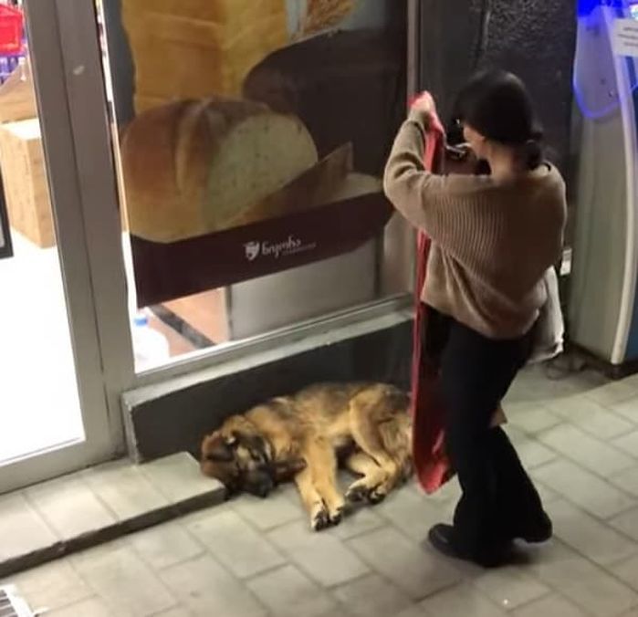 引用：George Papovi