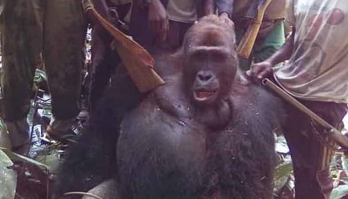  引用：デイリー・メール