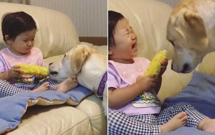 引用:instagram@kawaii_layla