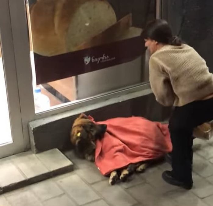 引用：George Papovi