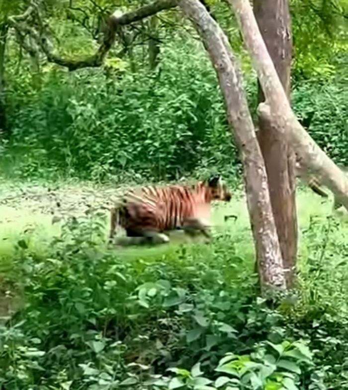 애니멀플래닛