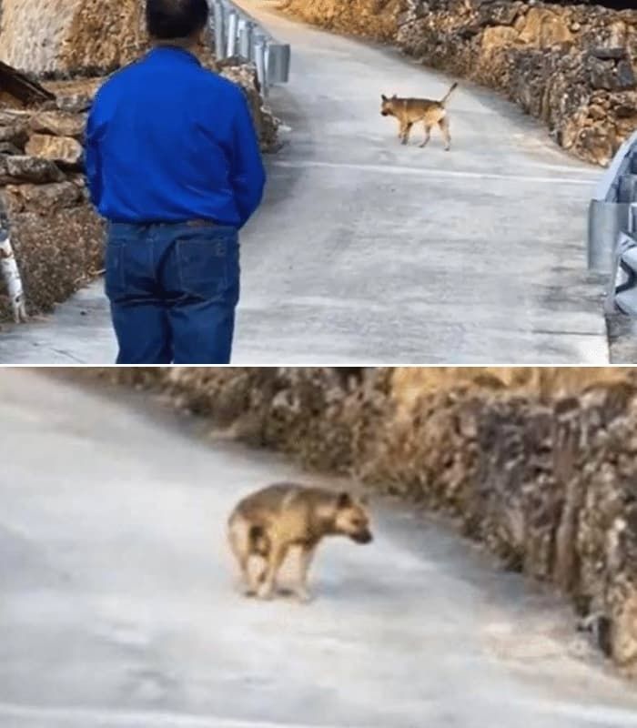 引用:アニマルプラネット