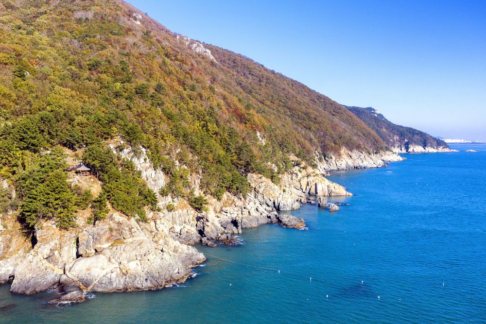가덕도 해안산책로 / 사진=비짓부산@써머트리, 이음미디어