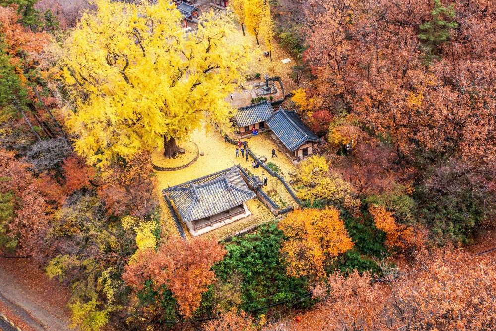 운곡서원의 가을 / 사진=한국관광공사 포토코리아@노명유