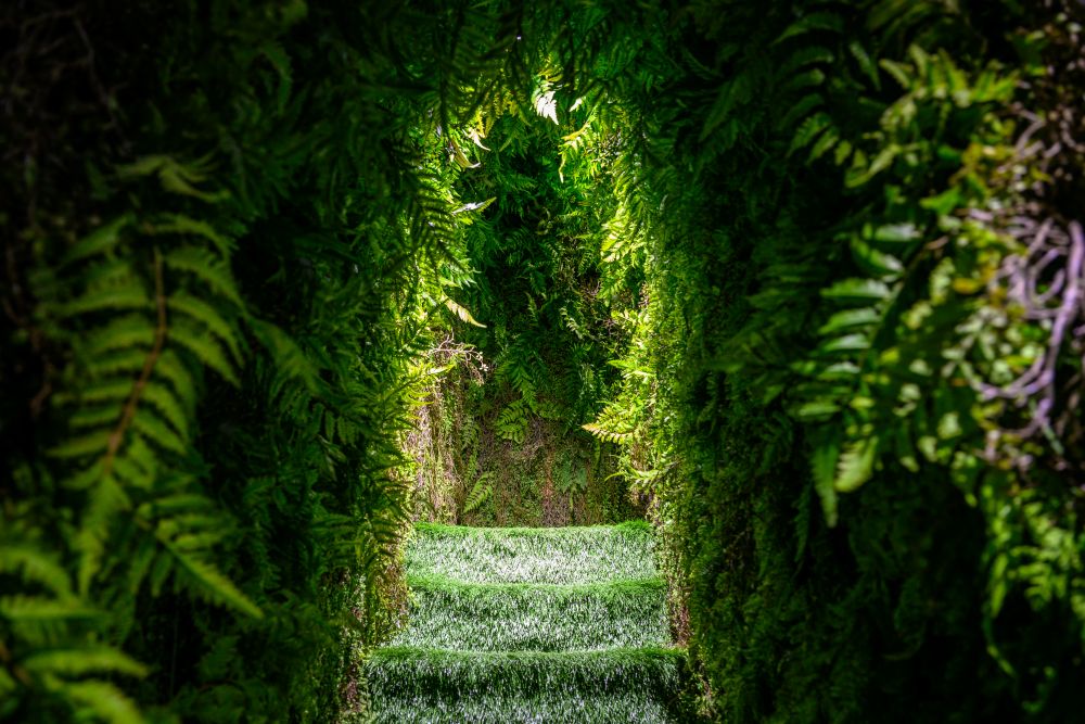 [섬세이테라리움] 실내 이색 공간 탐방 / 사진=서울관광재단