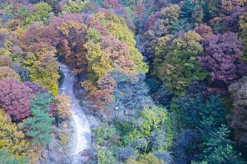 물길 따라 걷는 5만㎡ 생태숲 / 사진=물소리생태숲 공식 누리집