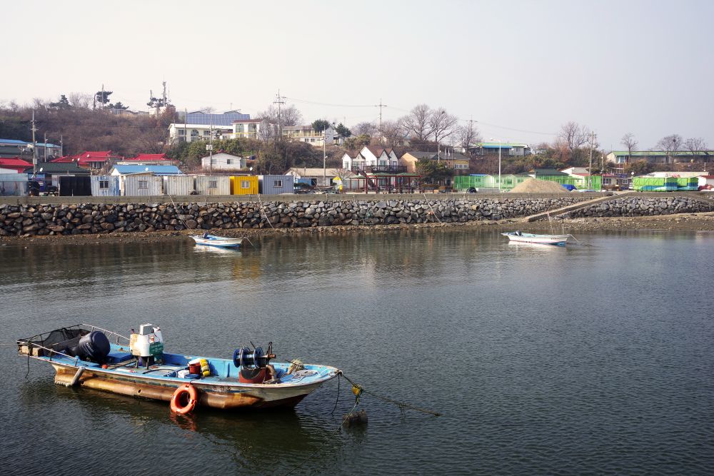 국화도 배 시간