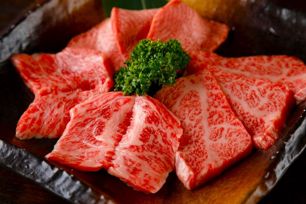 일본 최고급 와규를 이시가키에서 맛보자! / Designed by Freepik