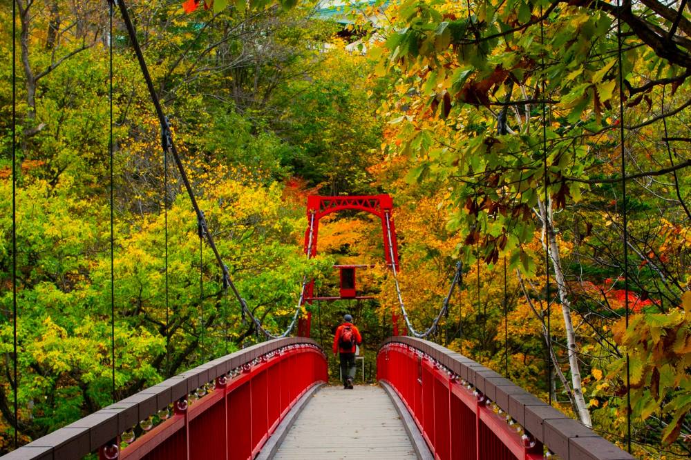 조잔케이 / 사진=unsplash@Joshua Moussa