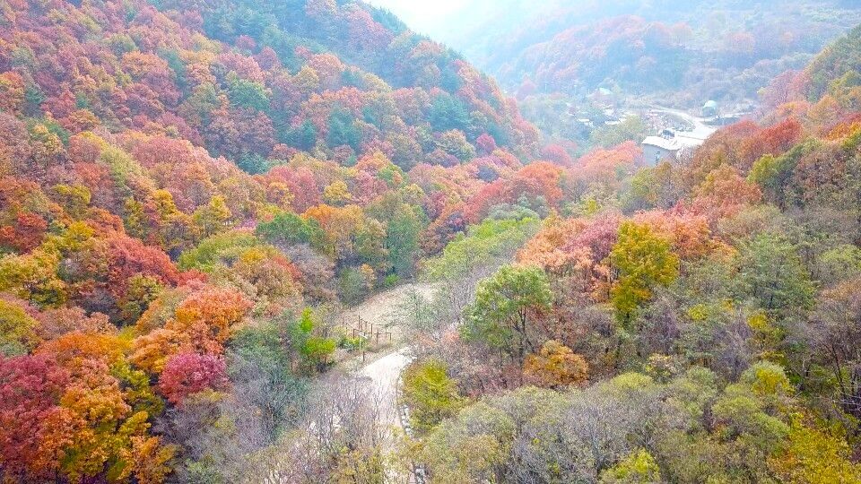 비경 골짜기 / 사진=물소리생태숲 공식 누리집