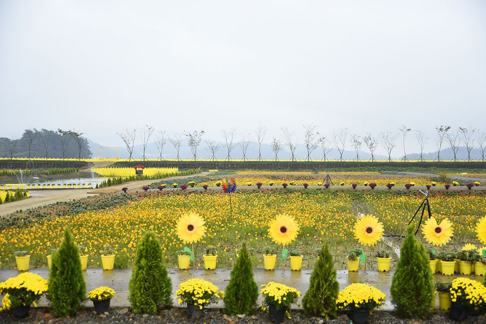 다양한 체험과 이벤트 / 사진=신안군