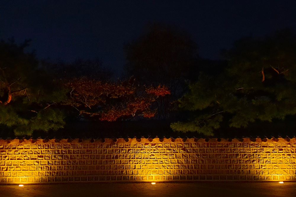 돌담길 야경 / 직접촬영