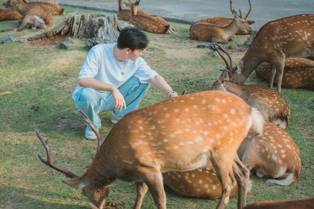 일본 골든위크 & 실버위크 / 사진=unsplash@Gavin Li