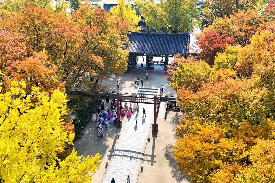 [경기전] 오색단풍 절정 전주 관광지 / 사진=비짓전주