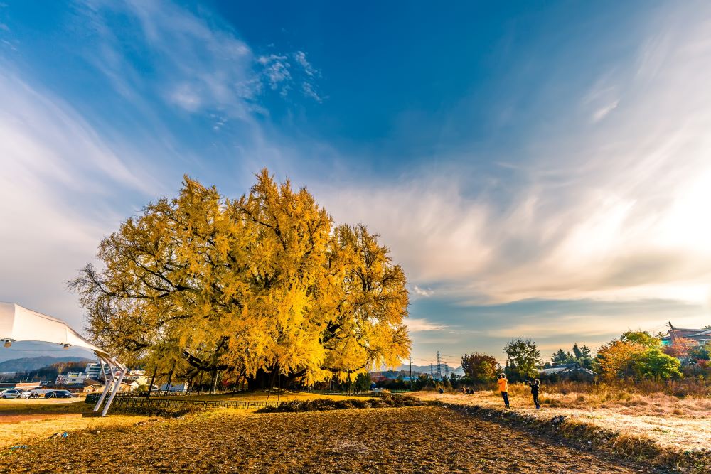 이야! 보고 또 보고 싶다! / 사진=강원관광@이은희