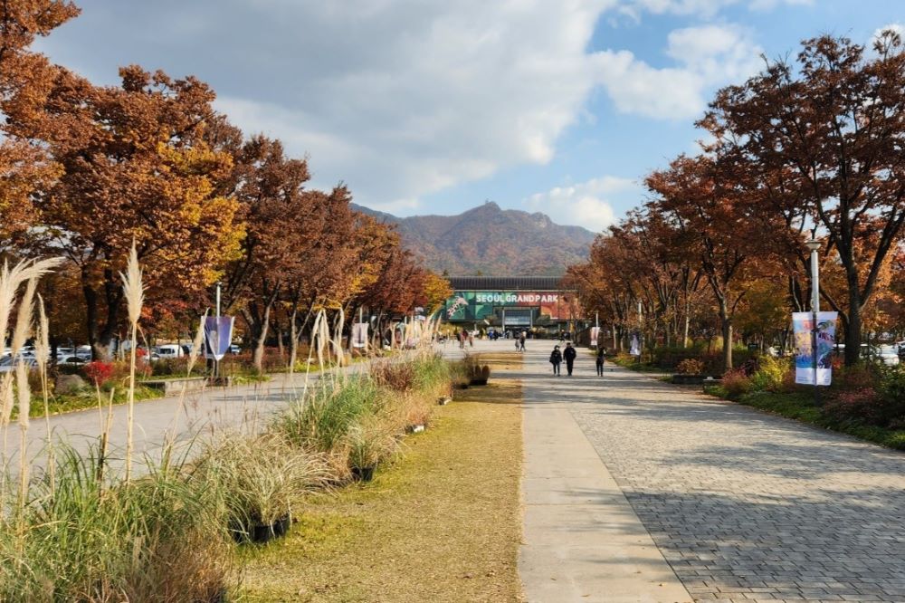 서울대공원 단풍 / 직접촬영